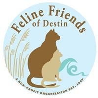 Feline Friends of Destin